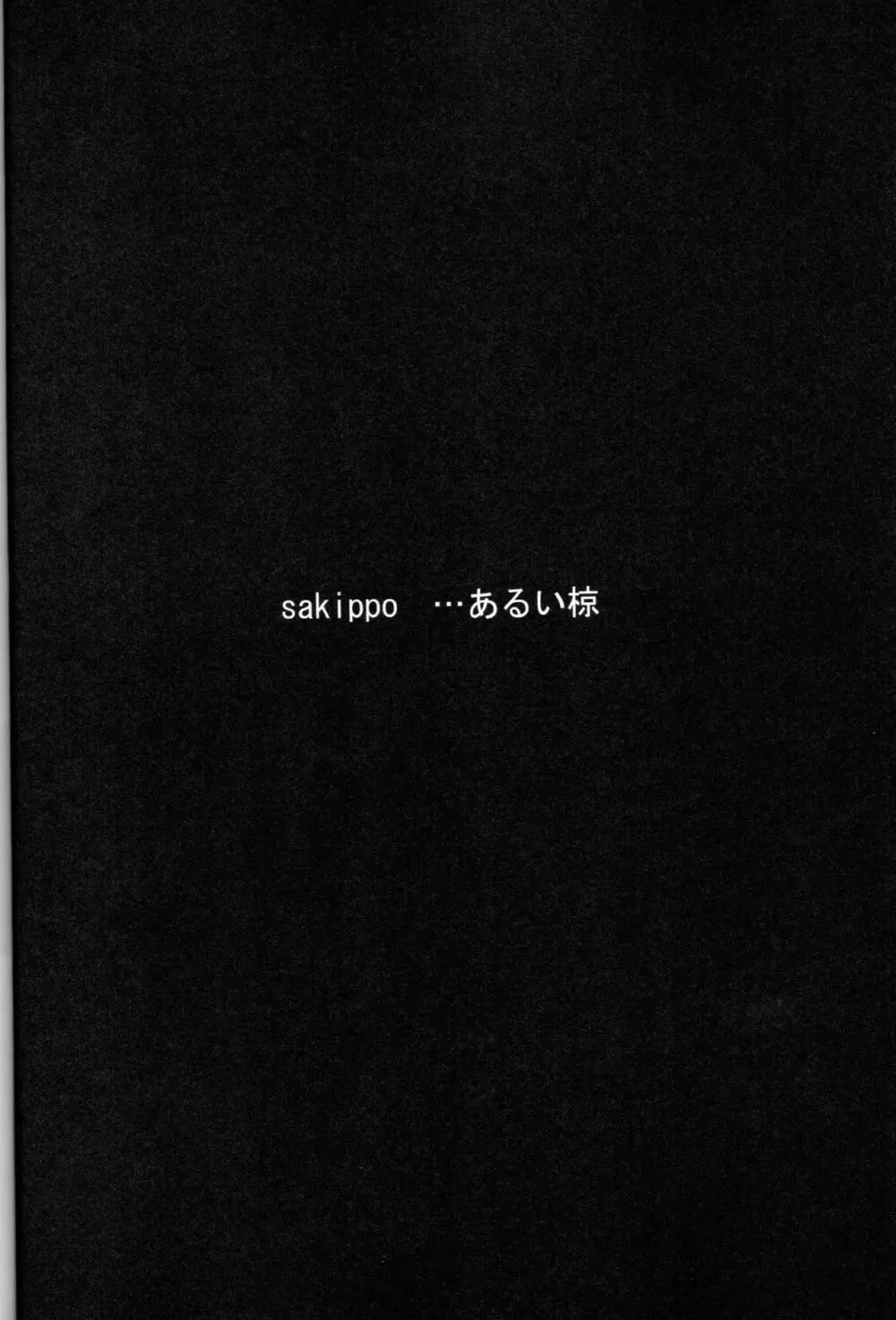 sakippo - page3
