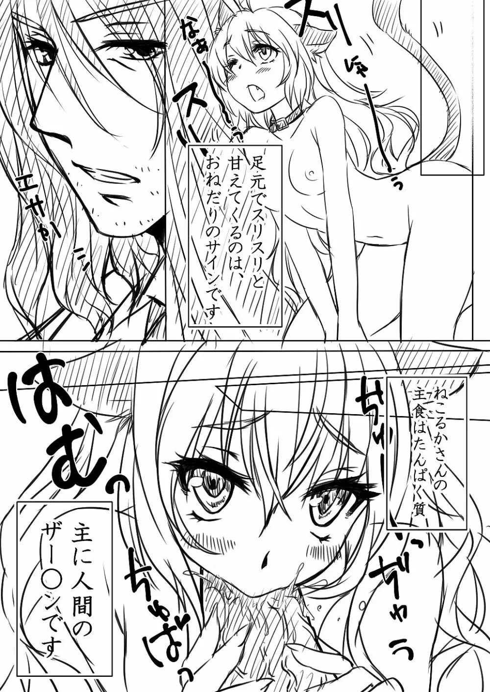 ねこるかさんの飼い方 - page4