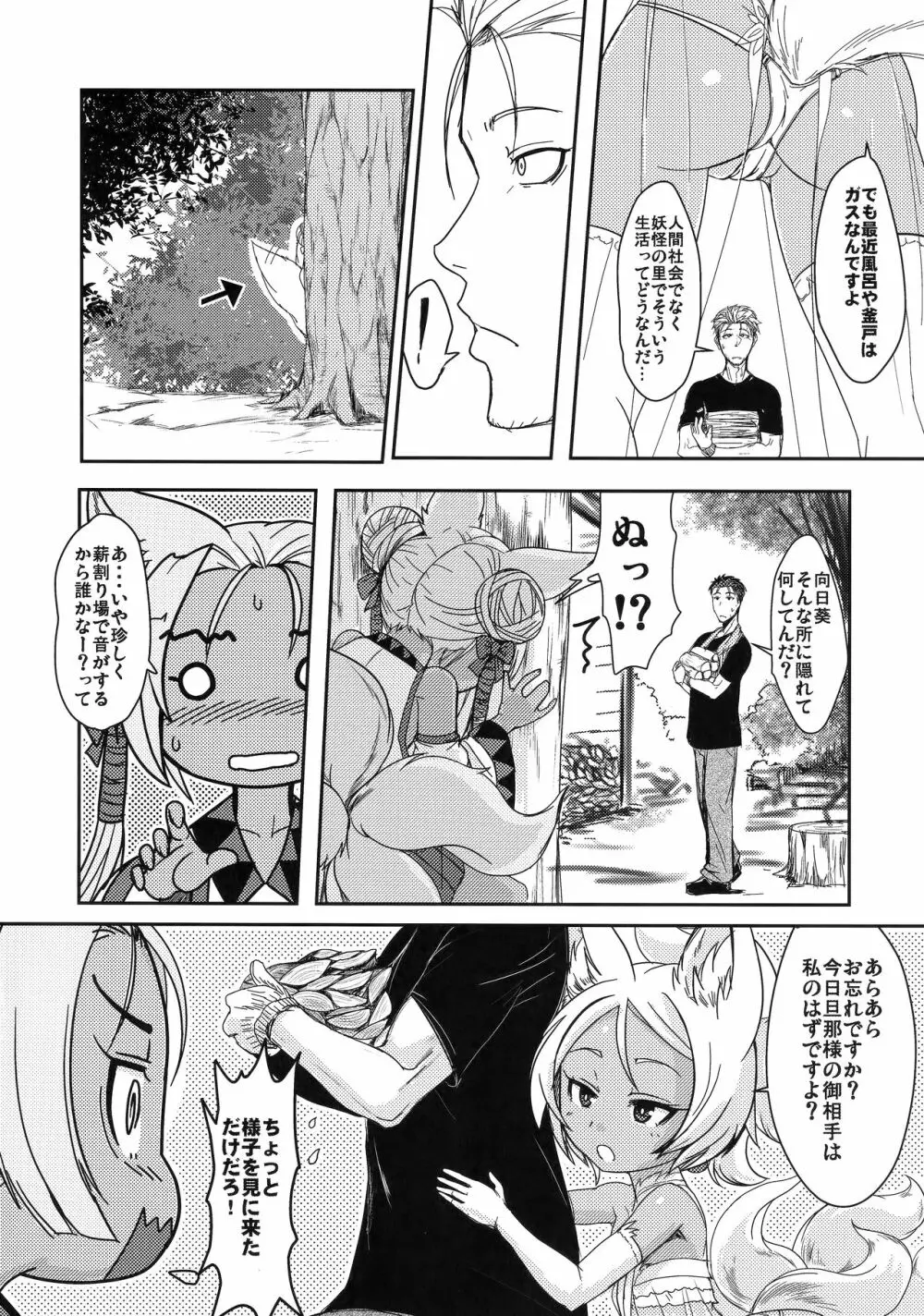 双狐の帳 其の陸 - page5