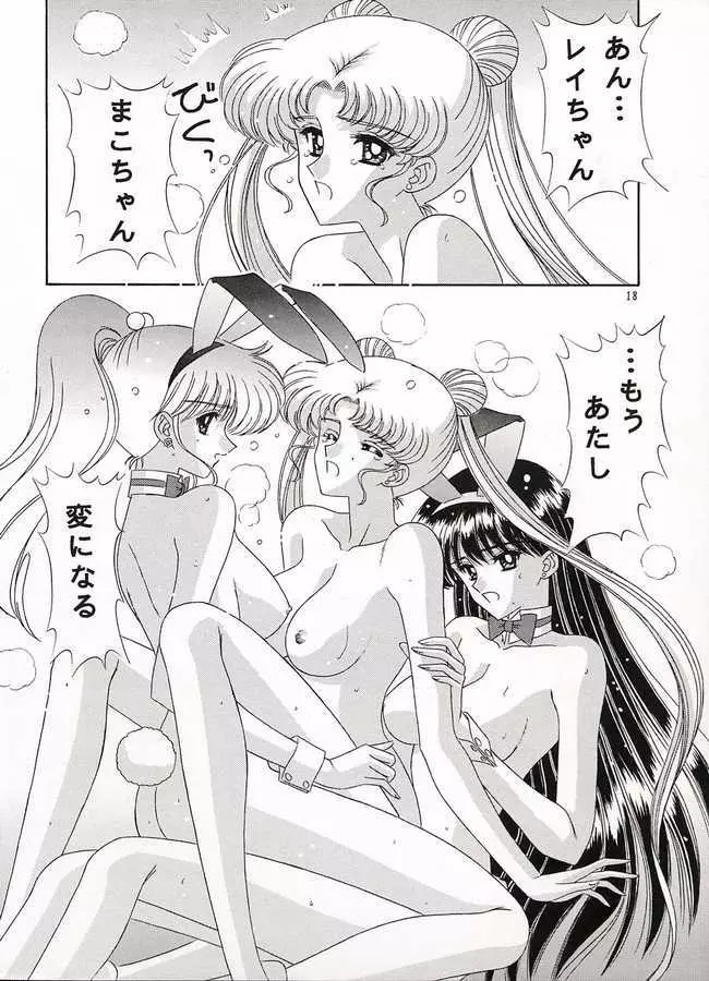 わたしの女神さま - page17