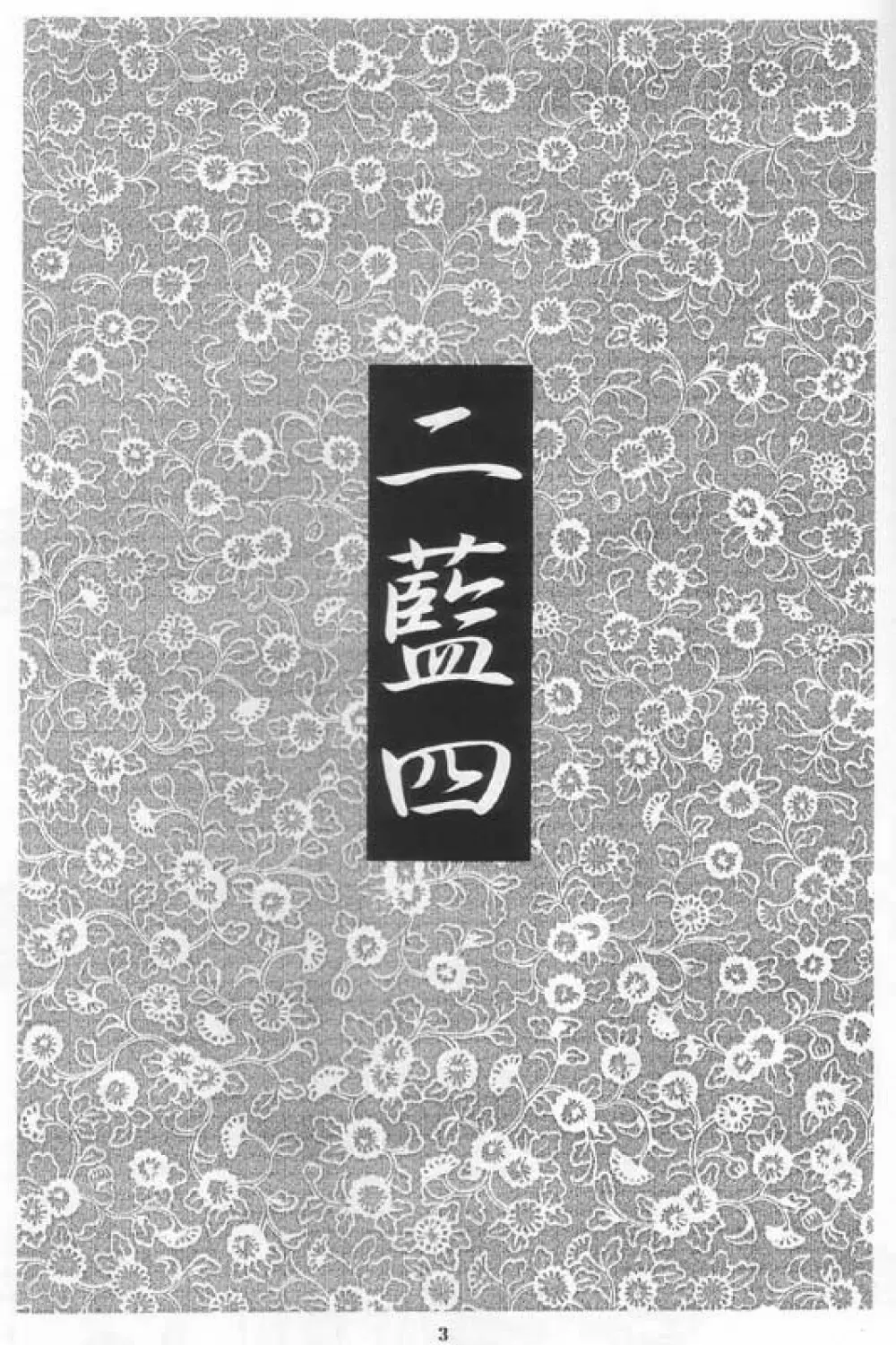Niran Shi - page2