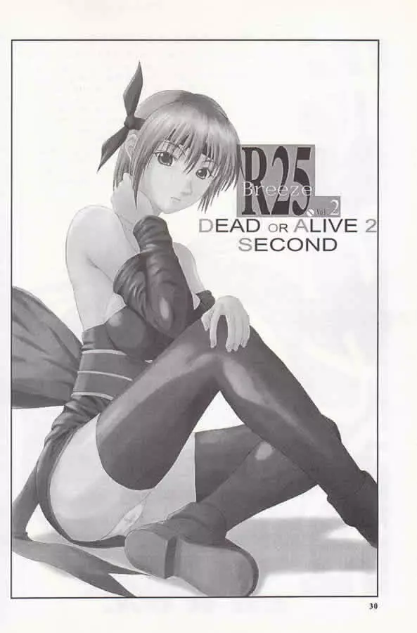 R25 Vol.2 DoA2 SECOND - page29