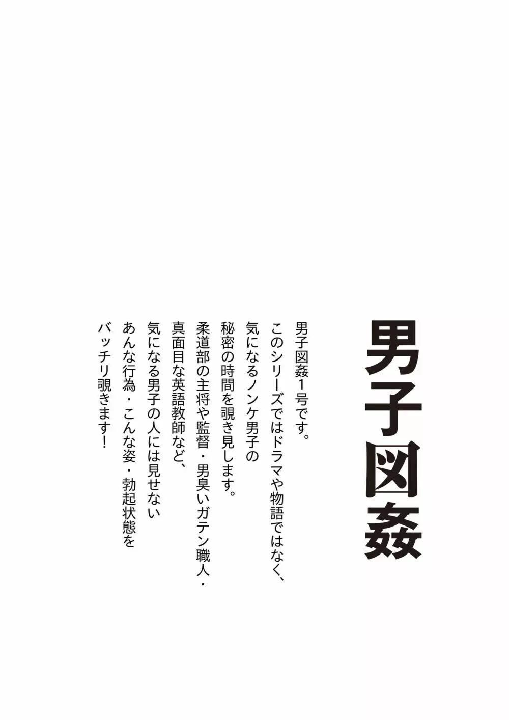男子図姦 vol.1 - page29