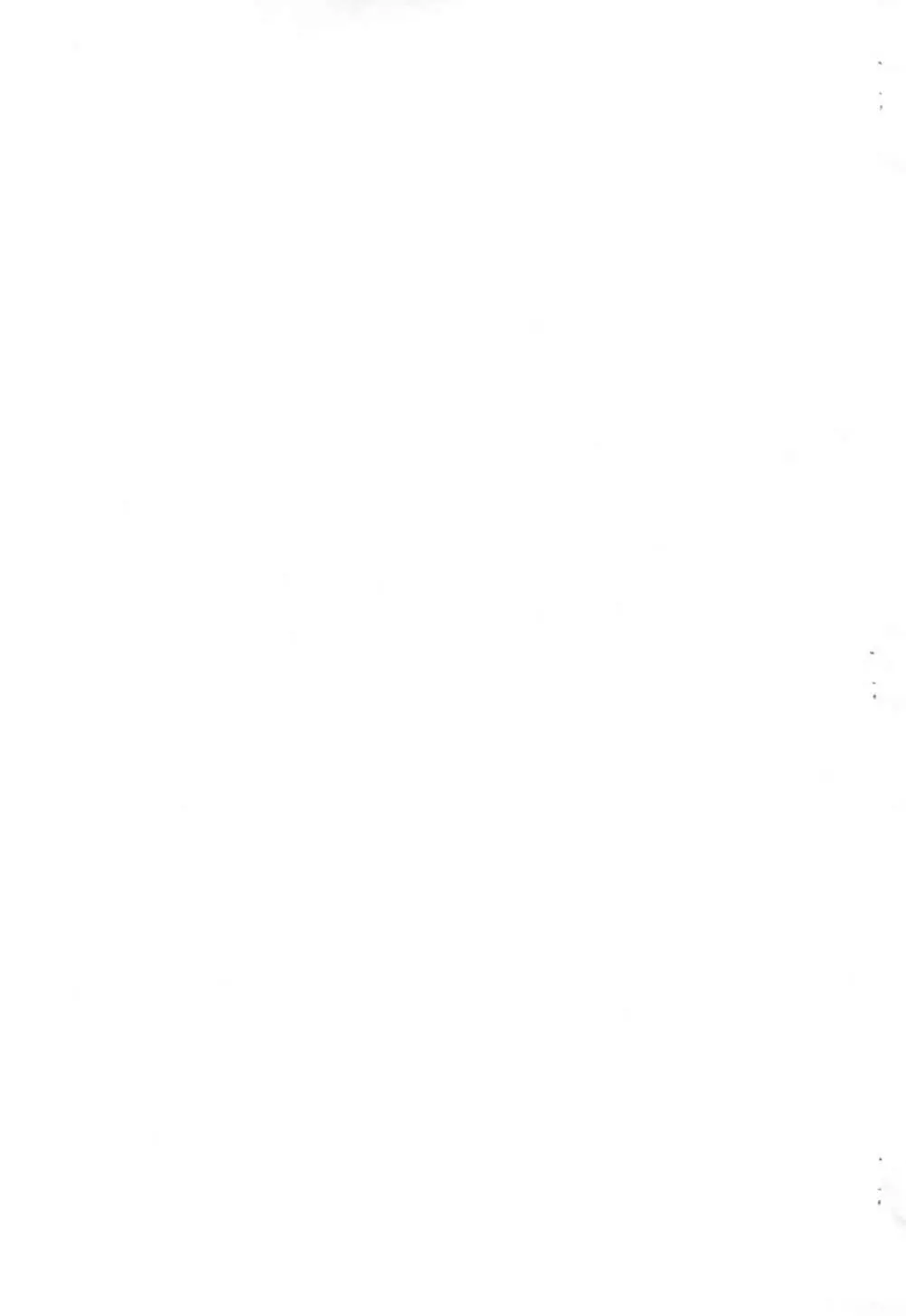 何か描きたかったので - page9