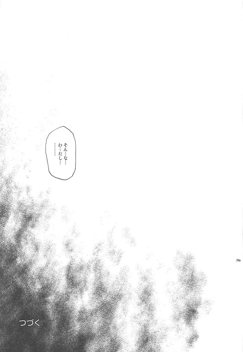 T-33 S+ - page38