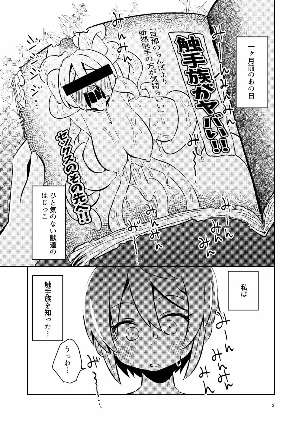 触手売りのフィエラ - page3