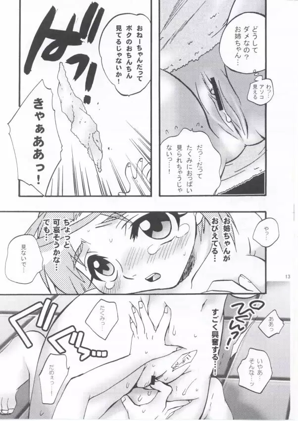 奴隷姉 - page11