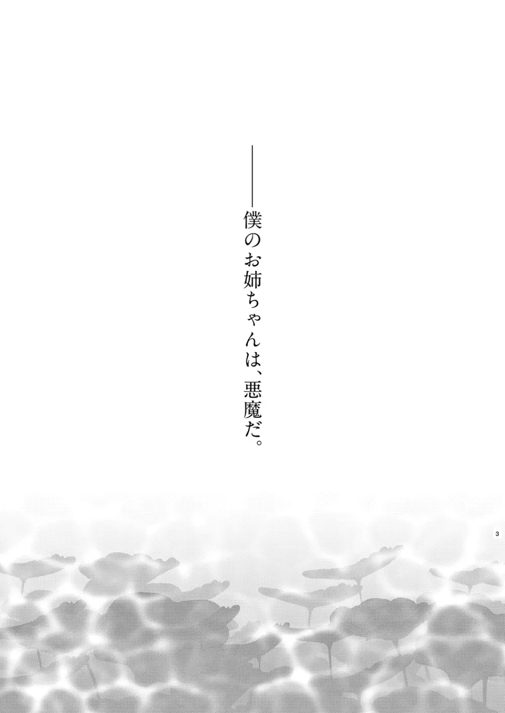 姉なるもの全集2 - page3