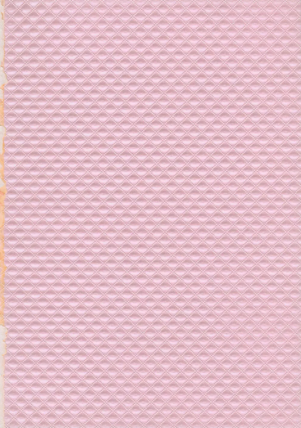 オーガジータちゃんと3Pする本 - page2