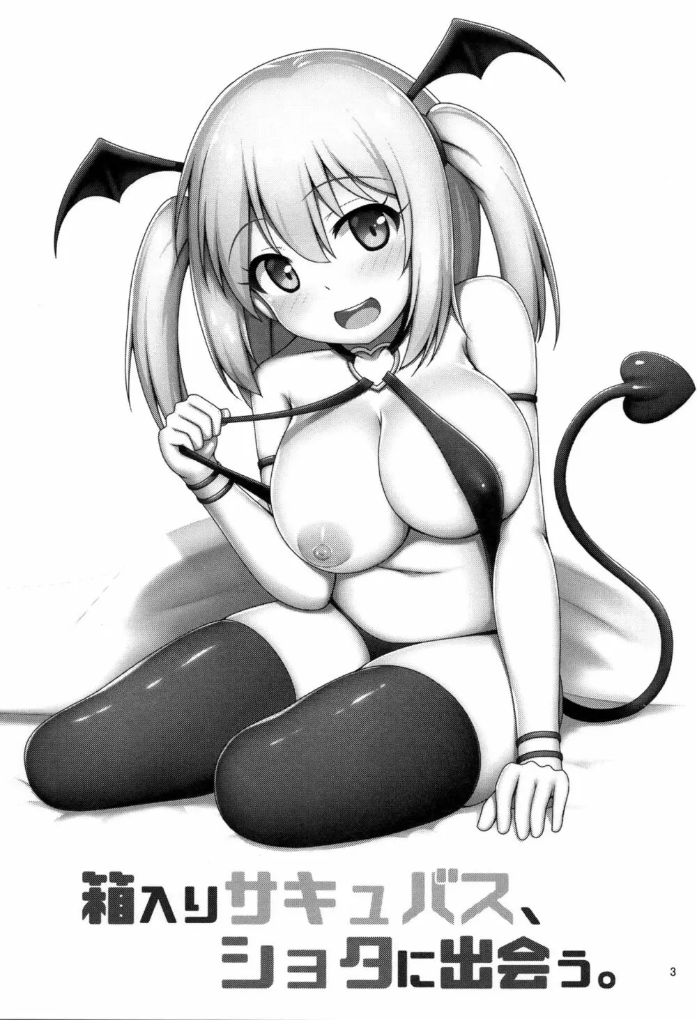 箱入りサキュバス、ショタに出会う。 - page2