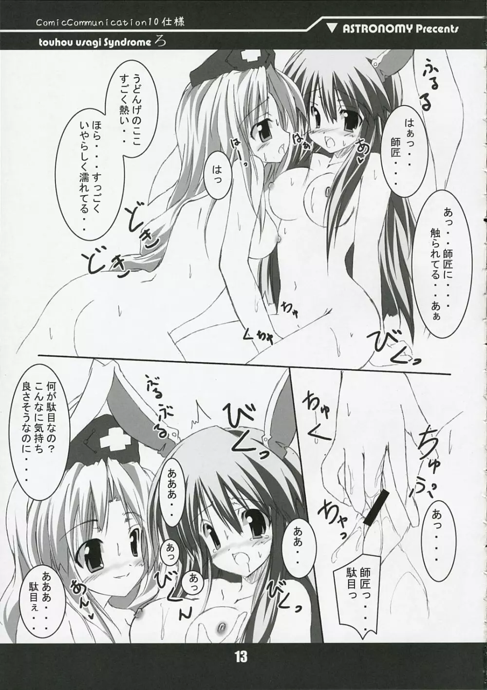 touhou usagi Syndrome ろ - page13