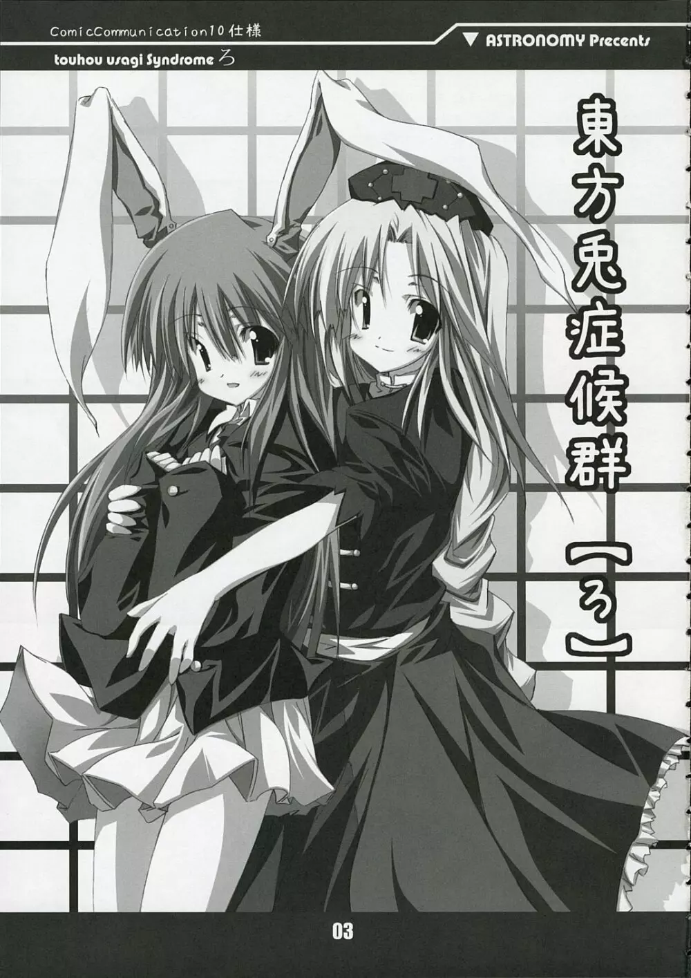 touhou usagi Syndrome ろ - page3