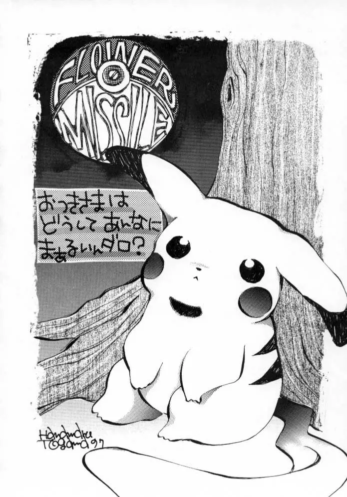 POKEMON JUNKY - page61