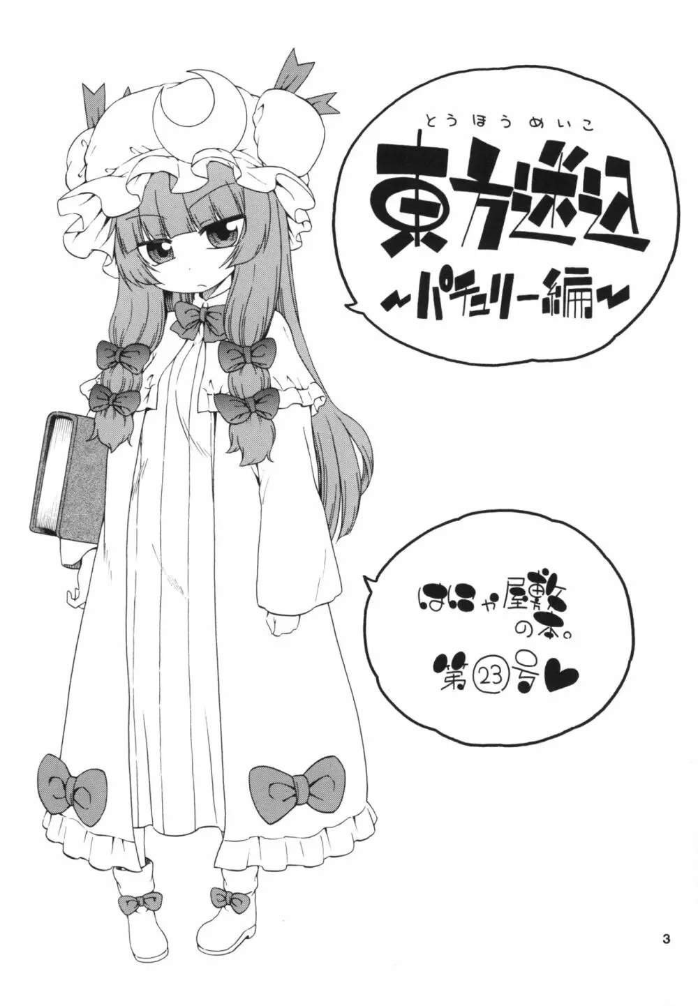 東方迷込 ～パチュリー編～ - page3