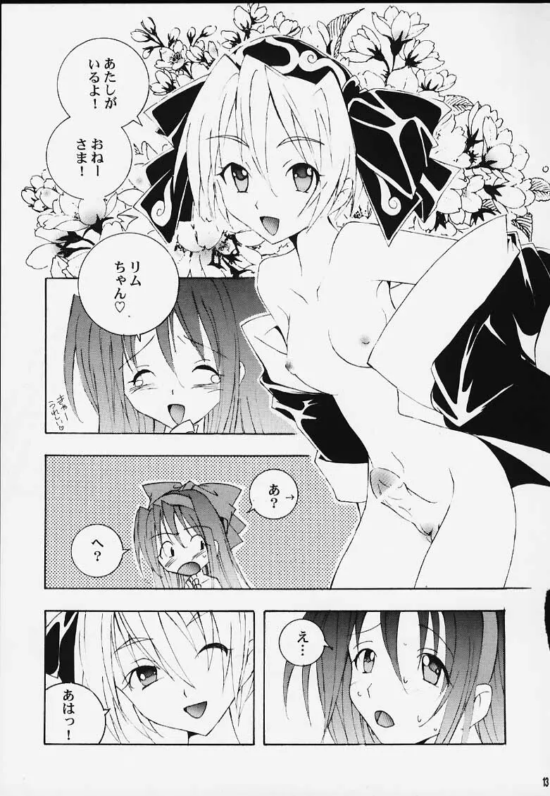 ナコリムスピリッツ2 - page12