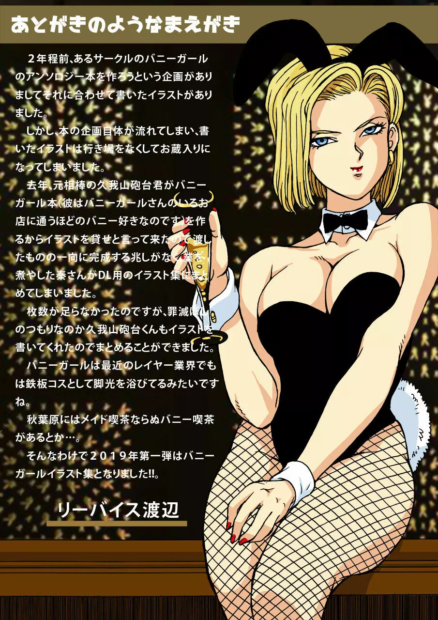 18とブルマのバニーガールに乾杯! - page2