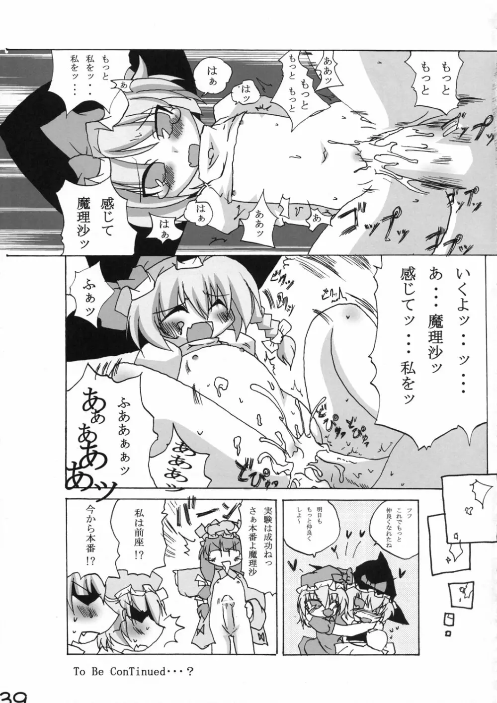 真東方乱華祭 -東方エチ合同本- - page38