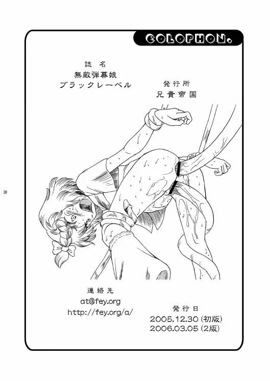 無敵弾幕娘ブラックレーベル - page30
