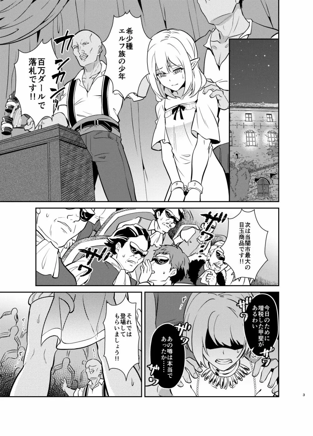 気高き義賊は飼い慣らされない　闇オークション出品編 - page3