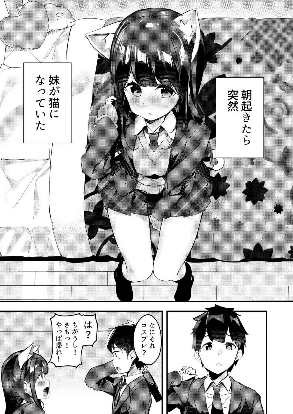 妹が猫になっていました。 - page3