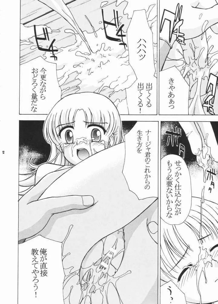 ナジャラジャ - page11