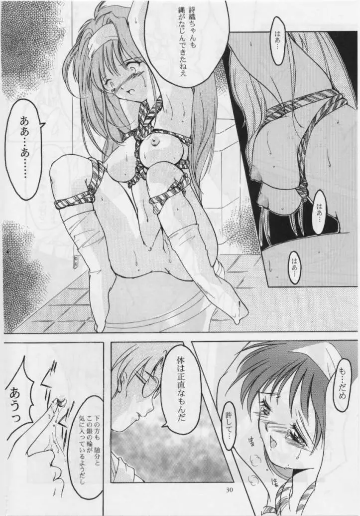 詩織 第四章 二人目の主人 - page29