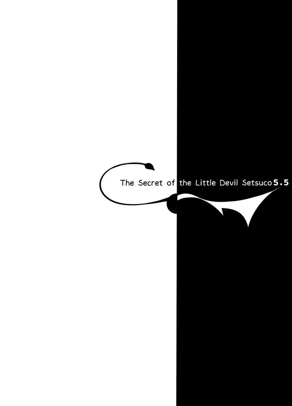 小悪魔せつこの秘密 vol. 5.5 - page18