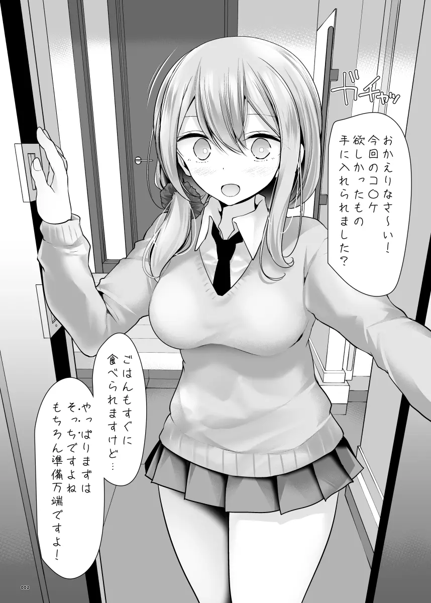 C97冬コミの足コキ本 - page2