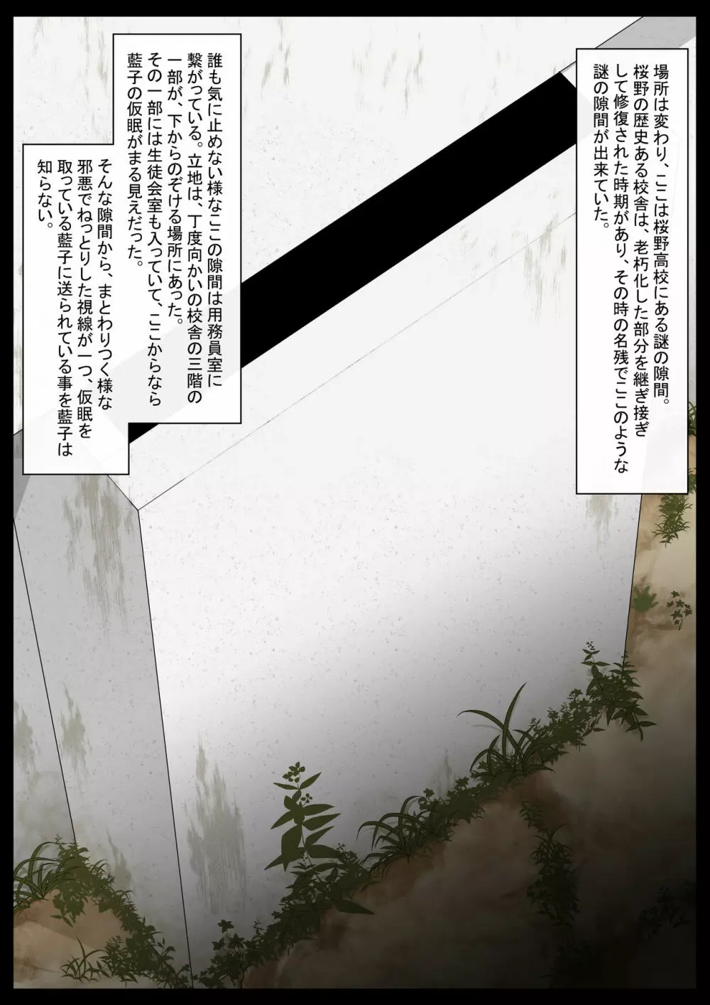 学校自慢の美少女生徒会長を性病持ちのオワコン女に落とす話1 - page4