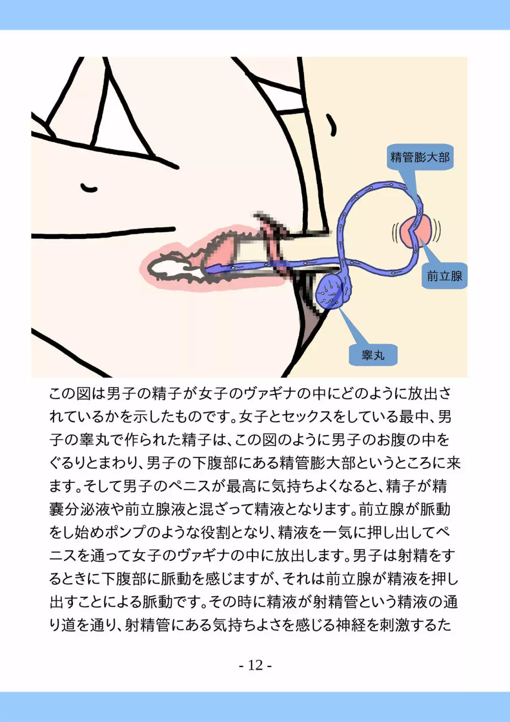 思春期のためのとっても気持ちいいセックスのおはなし - page12