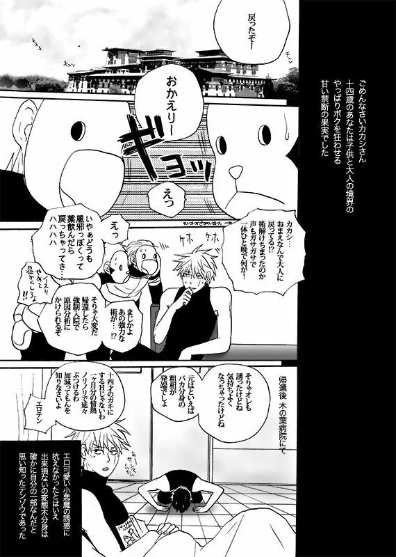 僕の禁断の果実 - page27