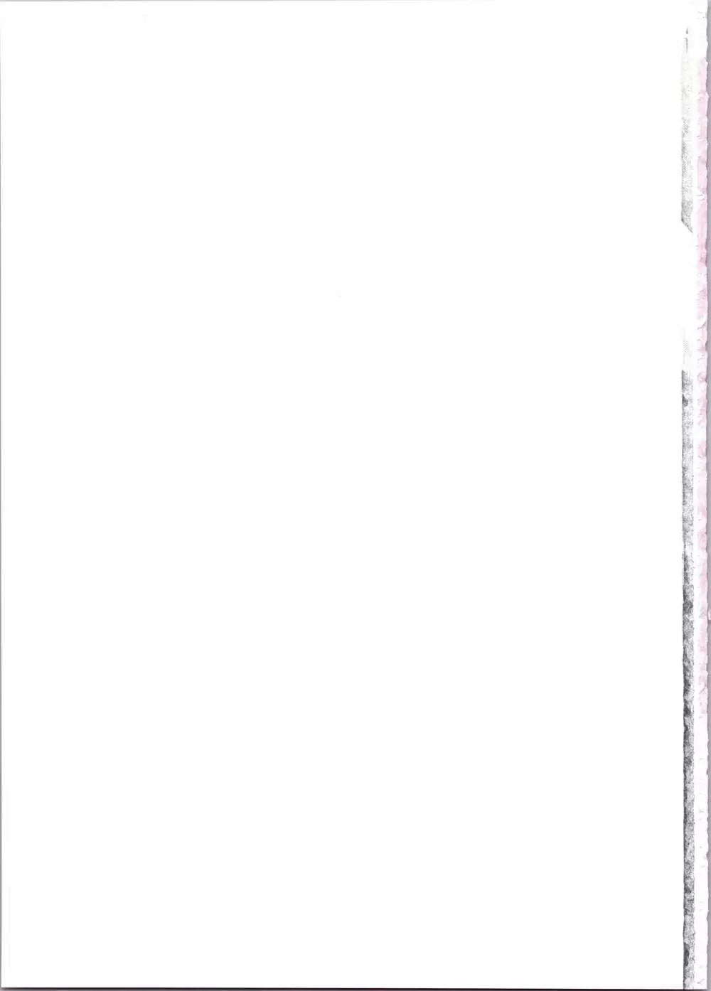 リナ=イ●バース獣神官にNTR快楽堕ち - page31