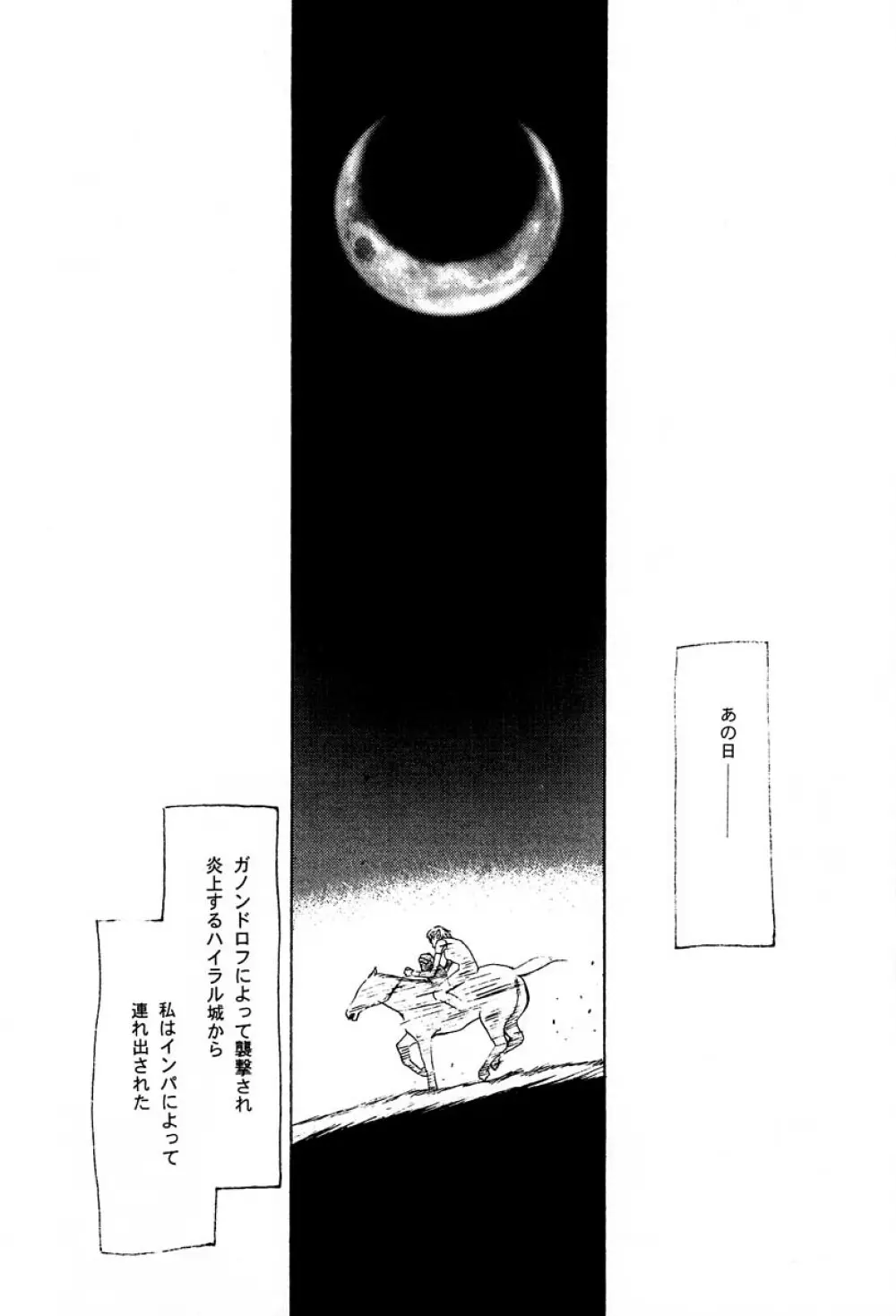 NISEゼルダの伝説 prologue - page4