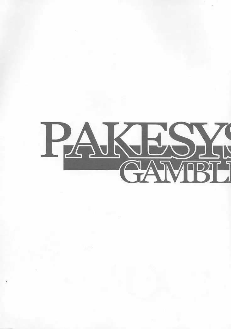 PAKESYS FORCE - page3