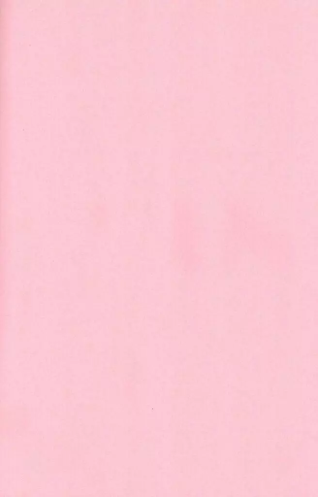 Untouchable Girls - page3