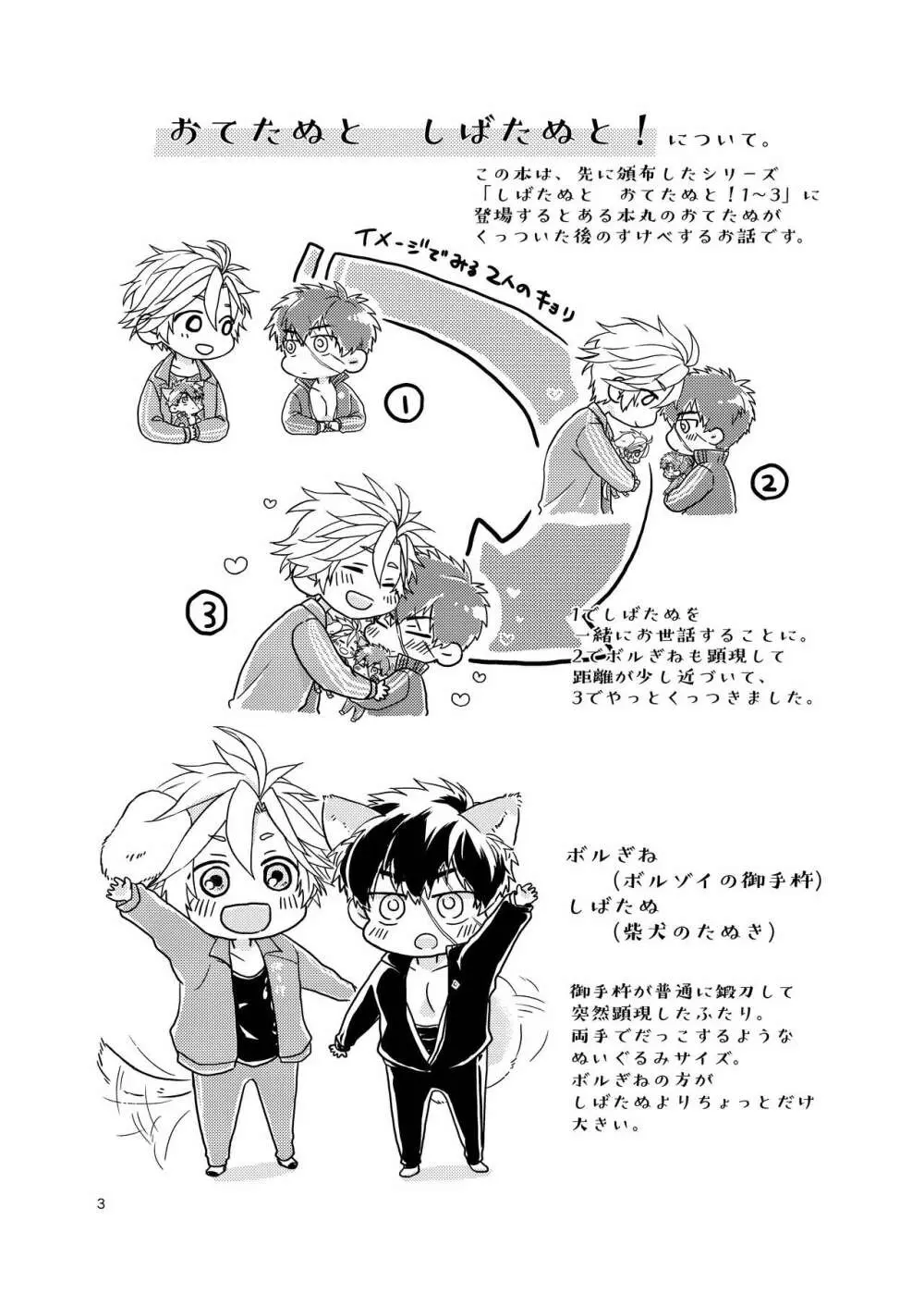おてたぬと しばたぬと！ - page2