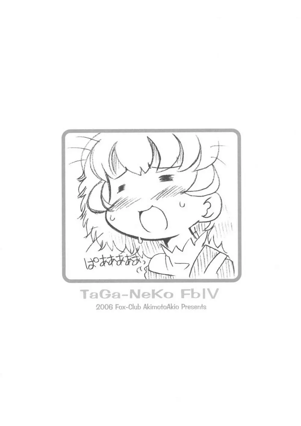 TeGa-NeKo Fb IV ふたご姫 2ぷらす - page16