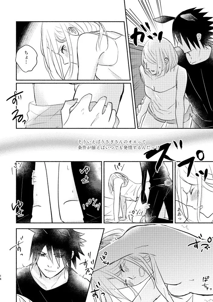うさぎさんのサスケくんと飼い主のサクラちゃん - page13