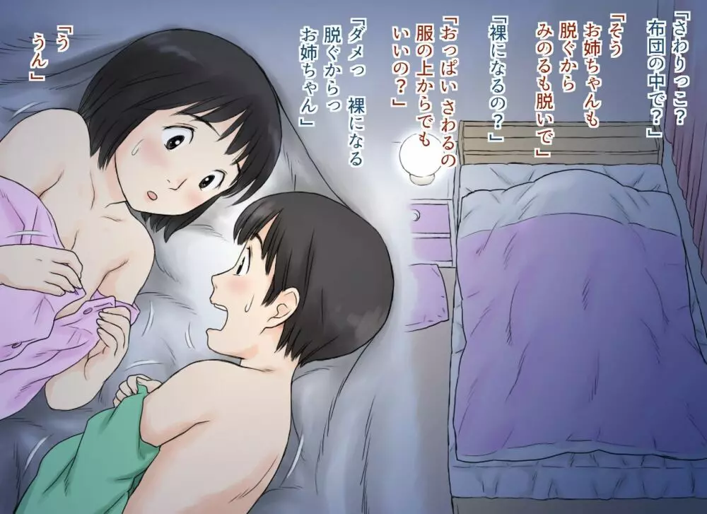 性に興味を持ち始めた姉と弟の初体験 - page22