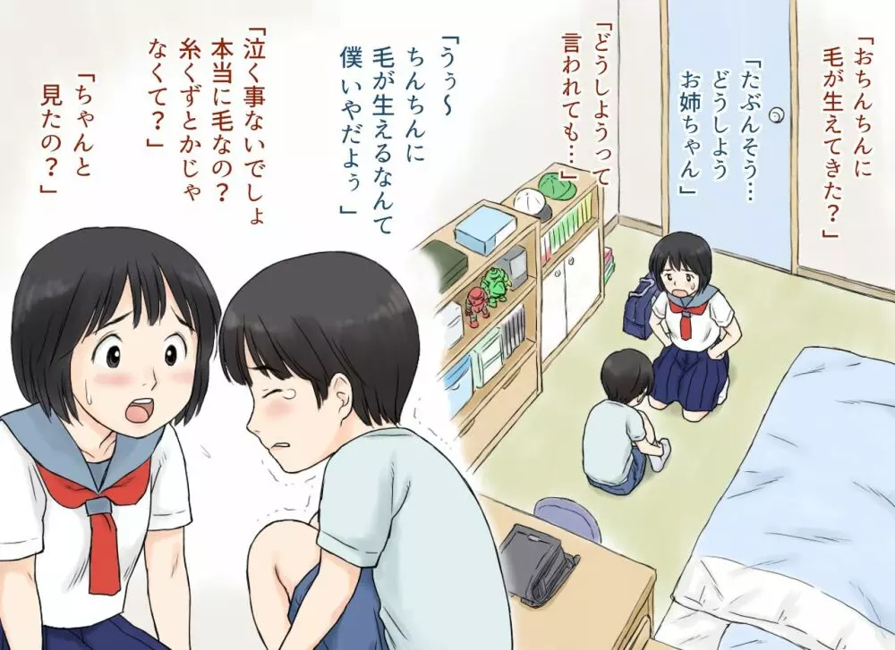 性に興味を持ち始めた姉と弟の初体験 - page6