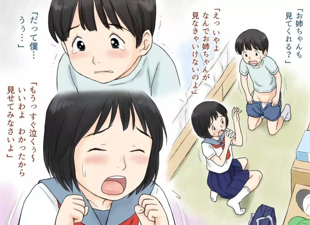 性に興味を持ち始めた姉と弟の初体験 - page7