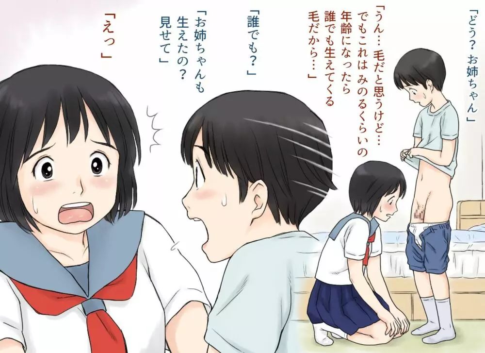 性に興味を持ち始めた姉と弟の初体験 - page8