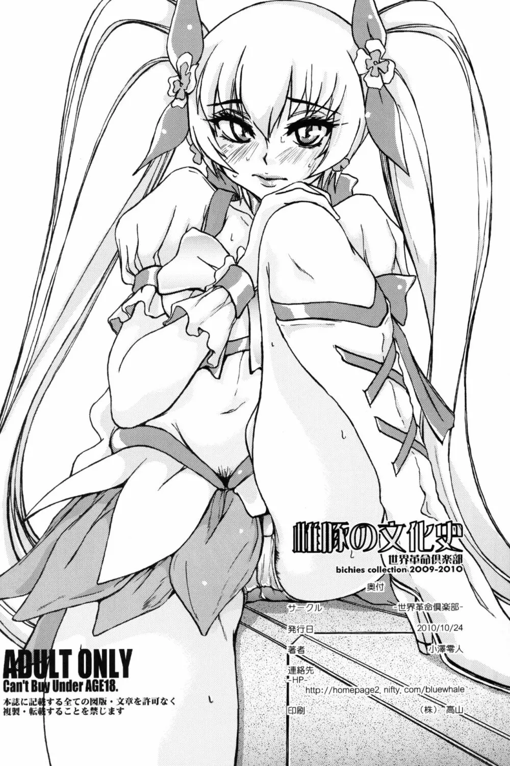 雌豚の文化史 - page41