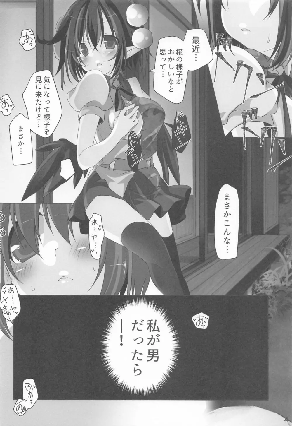 文君と椛お姉ちゃんの内緒の時間 - page3