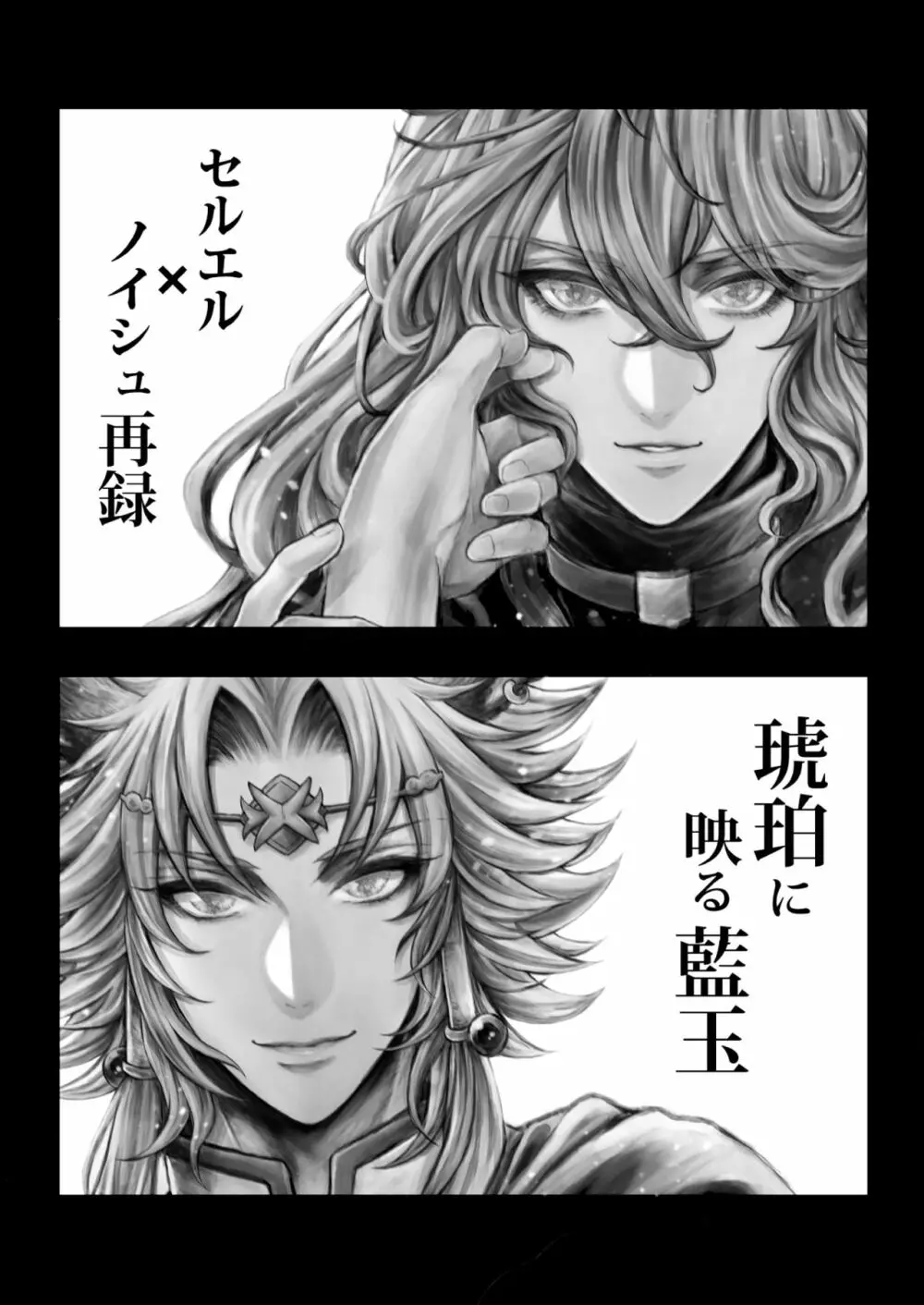 琥珀に映る藍玉 セルエル×ノイシュ再録 - page3