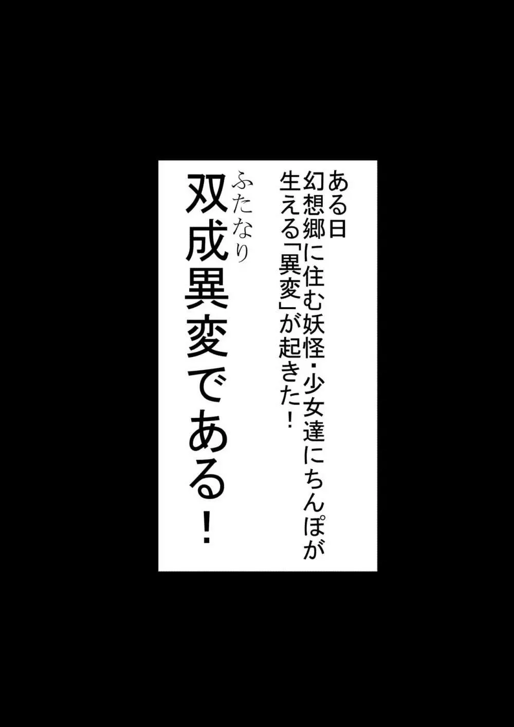東方双珍録～風見幽香～ 2 - page2