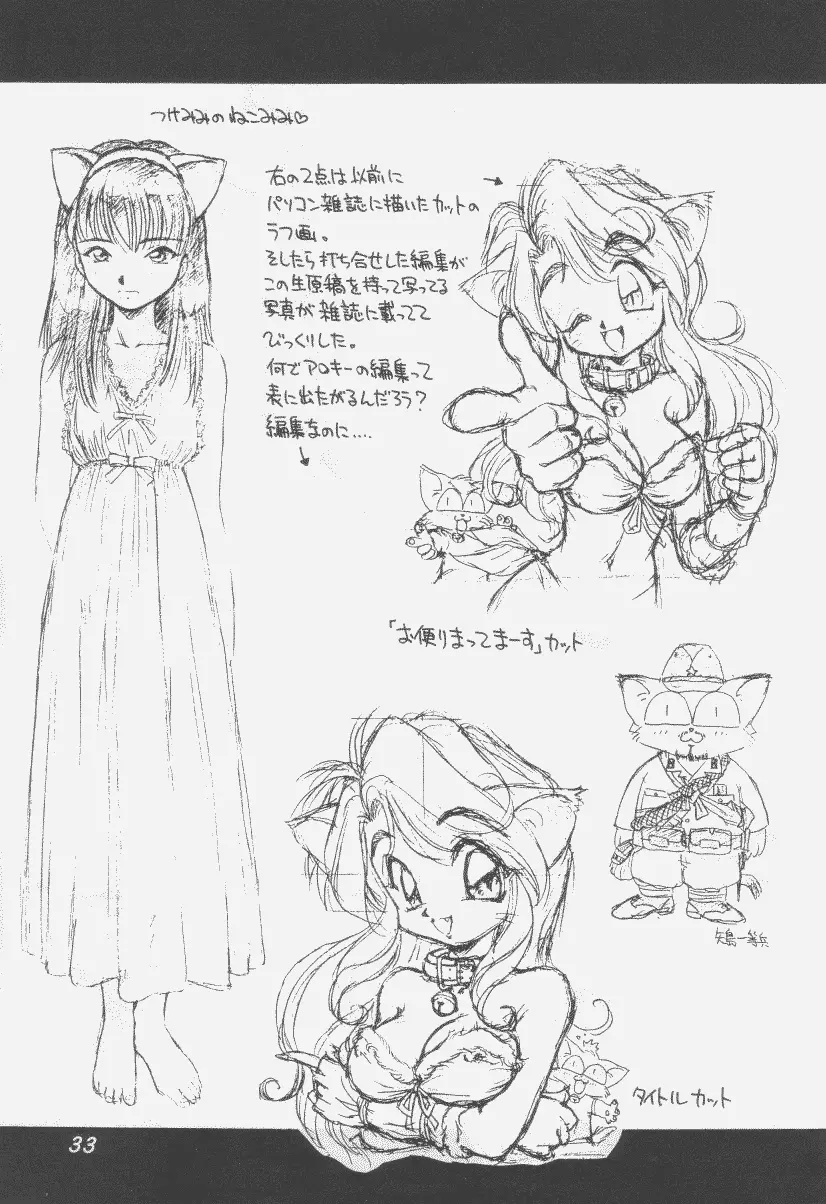 噂のねこ集会 - page32