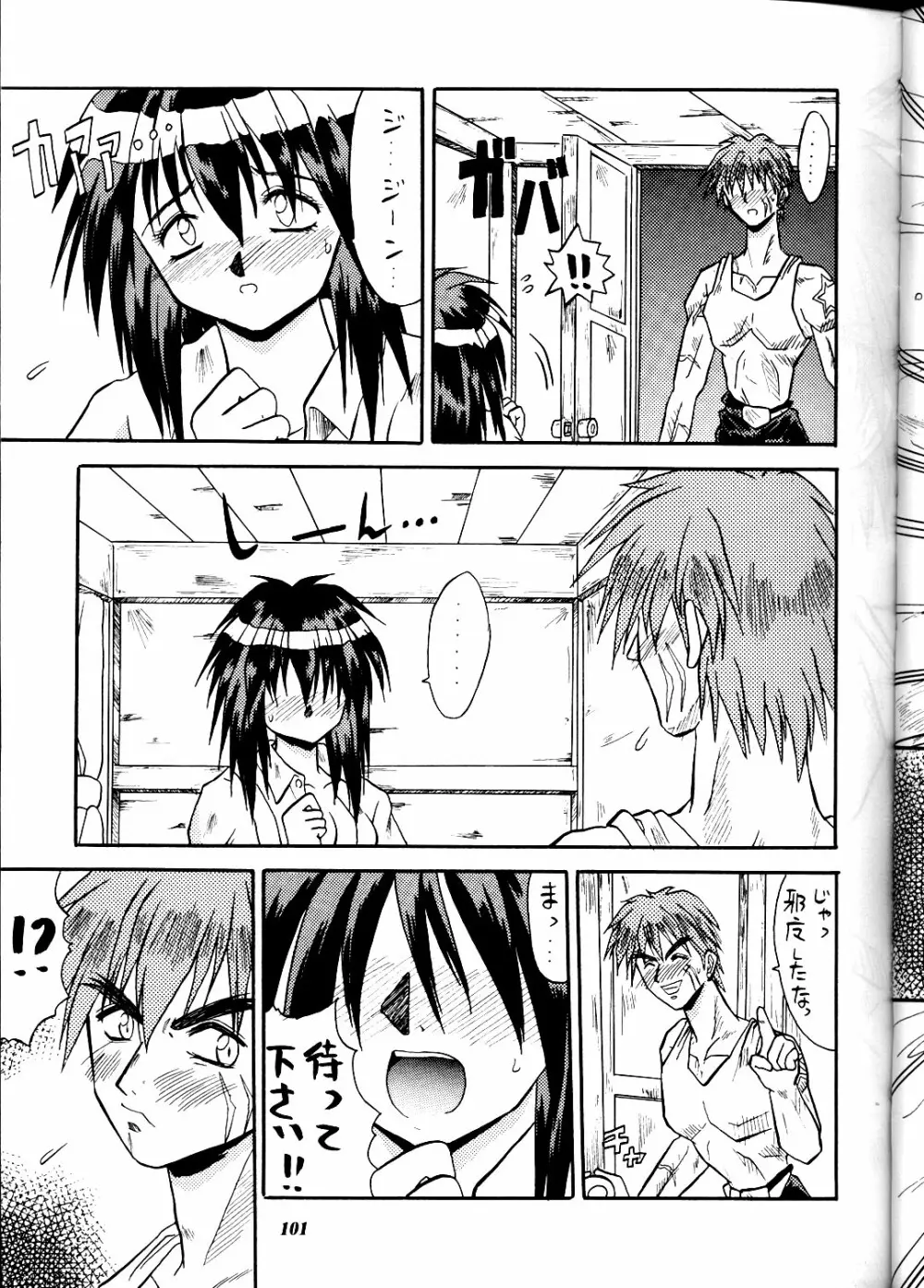 MODEL DX3 - page101