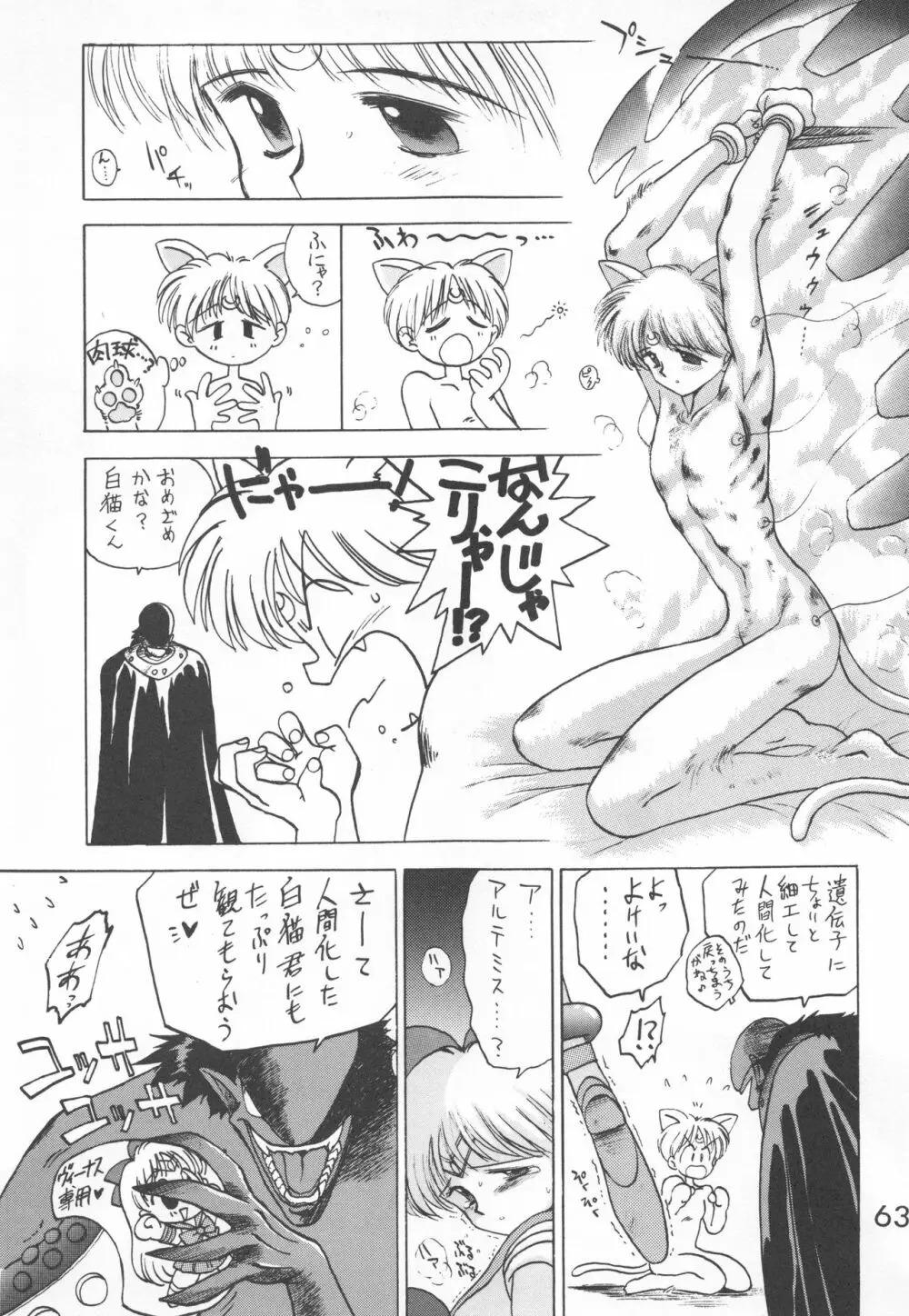 STAR PLATINUM - page62