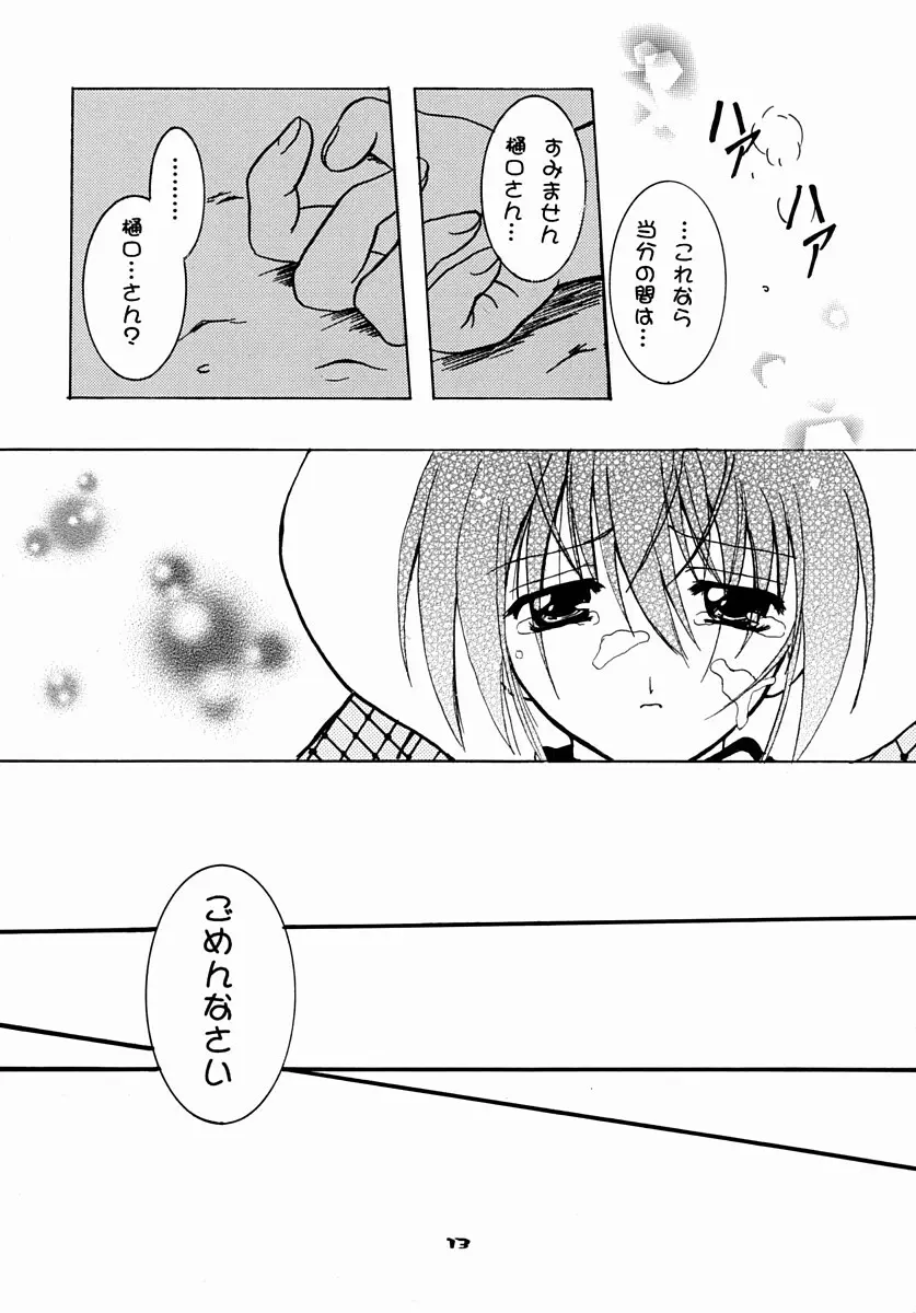 Schwarze Katze シュヴァルツェカッツェ - page12